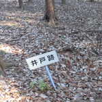 Ə