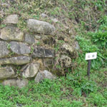 TR