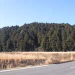 鎁
