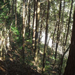 鎁